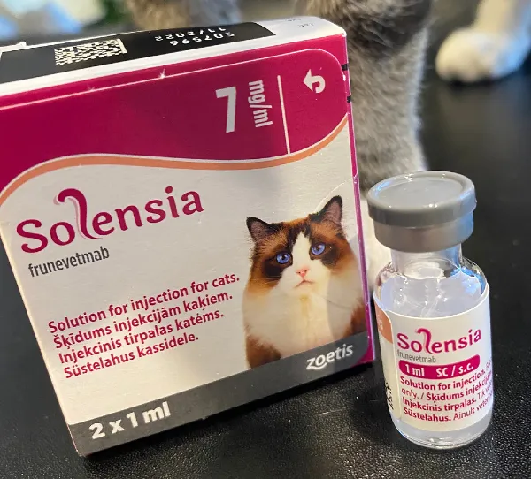 Zoetis anuncia la aprobación de la FDA de Solensia (inyección de frunevetmab) para controlar el